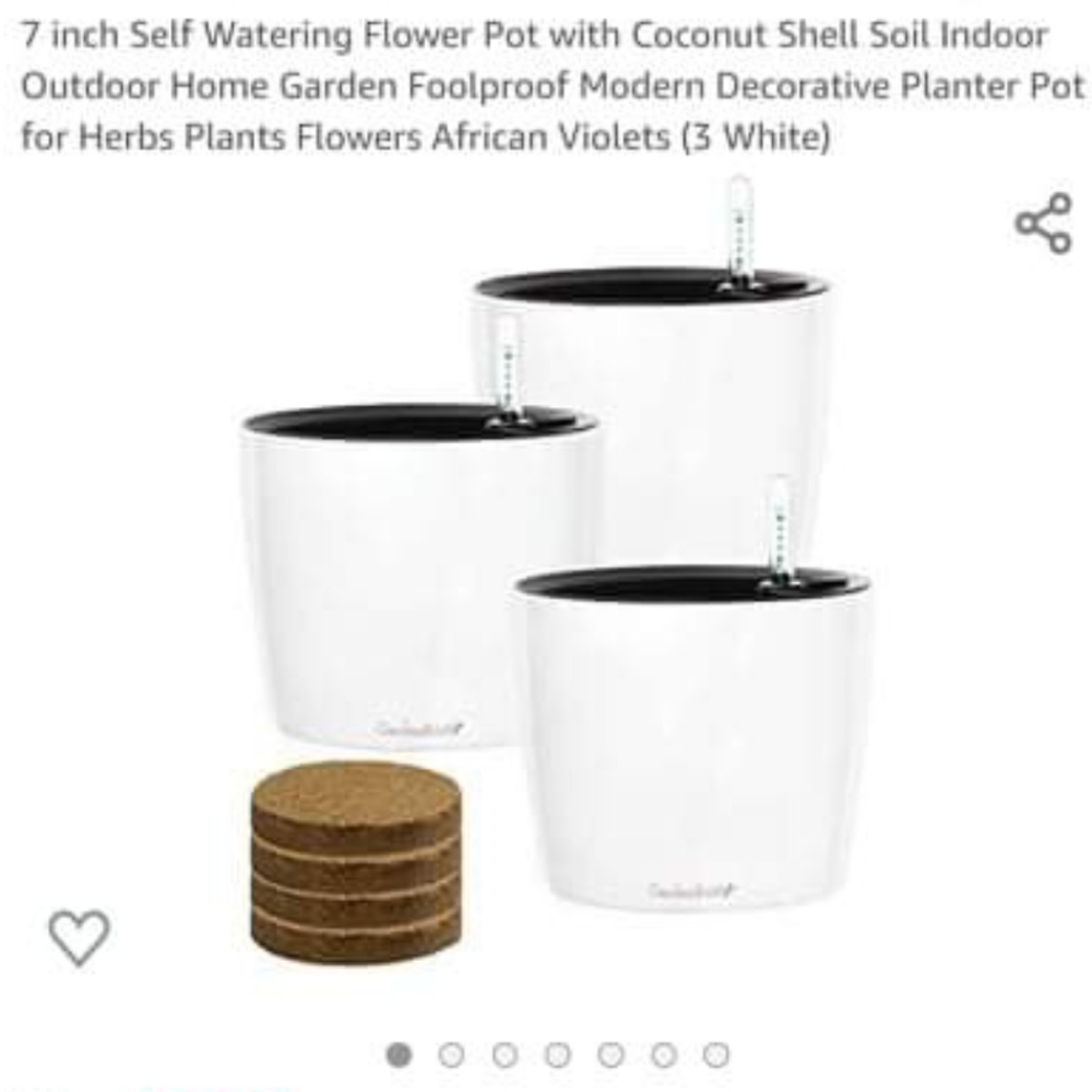 Self watering flower pot